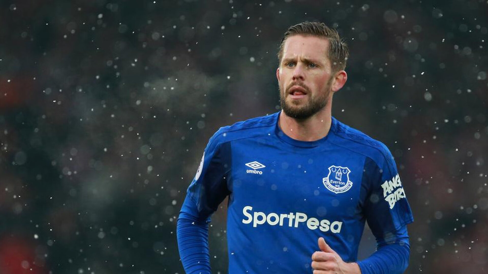 仰泳赛场比利时选手节奏精准，仰泳 backstroke 2017